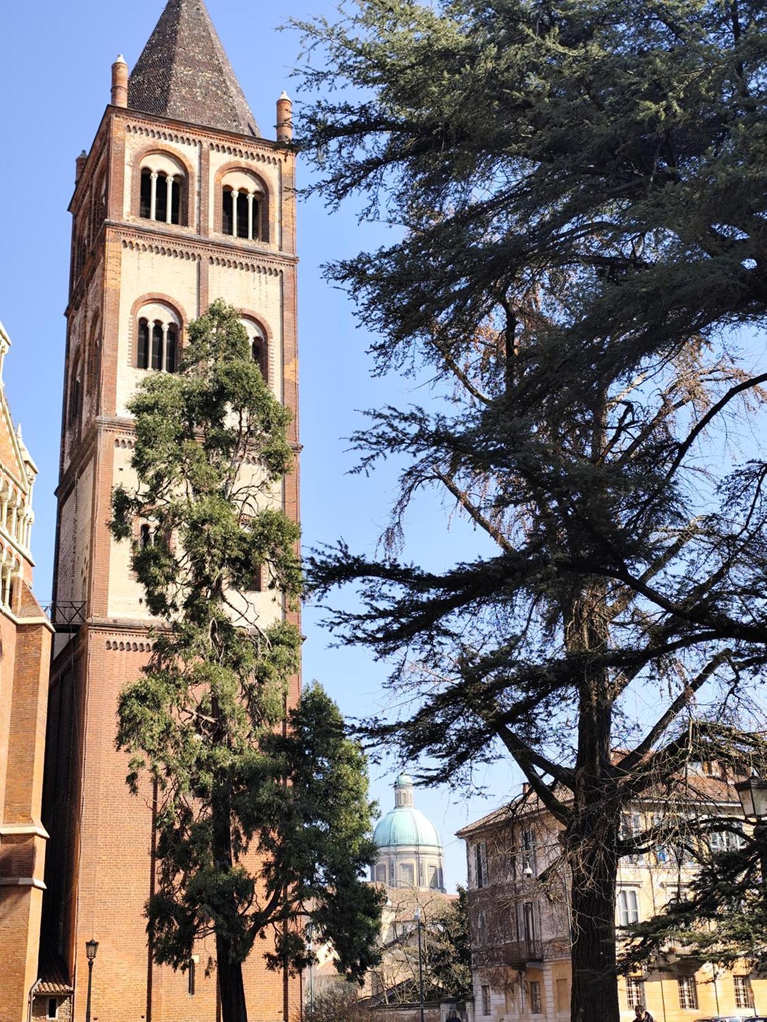Loft Piazza Cavour Vercelli Eksteriør bilde